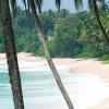 Отель Tangalla Bay, фото 15