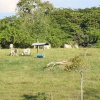 Отель La Finca Turística La Holanda, фото 32