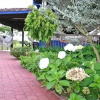 Отель La Finca Turística La Holanda, фото 37