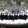Отель Panda Alaçati Otel, фото 14
