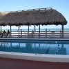 Отель Ocean Palm Motel, фото 6