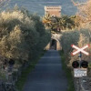Отель Castello Romeo, фото 4