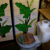 Отель Mazamitla Ecologico, фото 15