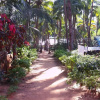 Отель Mamoos Place, фото 11