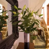 Отель Cafe Valance Bar & Rooms, фото 8