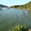 Отель Waimanu Lodge Whangaroa Harbour, фото 37
