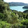 Отель Waimanu Lodge Whangaroa Harbour, фото 20