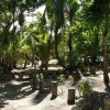 Отель Virgin Cove Resort, фото 5