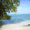 Отель Virgin Cove Resort, фото 11