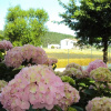 Отель Casa di Campagna B&B La Corte, фото 22