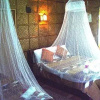 Отель Niu Ohana Garden Resort, фото 21