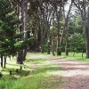 Отель Huerta Grande Cabanas, фото 5