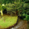 Отель Coconut Lodge, фото 13