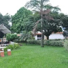 Отель Santa Barbara Hotel Country Villavicencio, фото 25