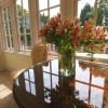 Отель Dixcart Bay Hotel, фото 18