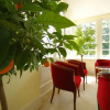 Отель Dixcart Bay Hotel, фото 30