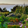 Отель Dixcart Bay Hotel, фото 3