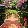 Отель Lotus Lodge, фото 30