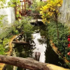 Отель Lotus Lodge, фото 25