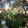 Отель Mira Luna Club Gumbet Bodrum, фото 10