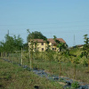 Отель Agriturismo Il Mondo, фото 13