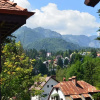 Отель Vila Sinaia 1929, фото 20