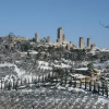 Отель Agriturismo Sulle Orme Di Dante, фото 2