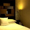 Отель Urumqi Bayinhe Hotel, фото 2
