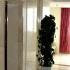 Отель Mingjiang International Hotel, фото 17