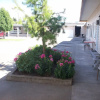 Отель Copper Valley Motel, фото 10