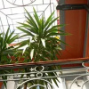 Отель Red Montevideo, фото 2