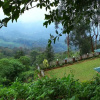 Отель Munnar Heritage Resort, фото 1