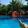 Отель Ganlanba Spa & Resort Hotel, фото 9