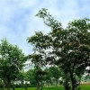 Отель Hebi Guest House, фото 20