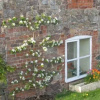 Отель Caro's Bed & Breakfast, фото 5