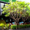 Отель Grass Suites Thonglor, фото 46