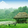 Отель The Misty Guest House in Coorg, фото 15