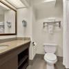 Отель Comfort Inn & Suites Sequoia/Kings Canyon, фото 23