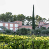 Отель Domaine Rabiega - vineyard and boutique hotel, фото 1