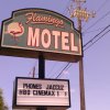 Отель Flamingo Motel, фото 1