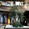 Отель Grand Plaza Hotel and Congress Centre, фото 20