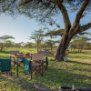 Отель Gnu Ndutu Camp, фото 21