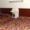 Отель Motel 76, фото 3