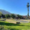 Отель Western Holiday Lodge Three Rivers, фото 30