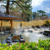 Отель Hakone Kowakien, фото 22