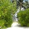 Гостевой дом Vaali Maldives Island Escapes & Dive, фото 20