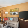 Отель TownePlace Suites by Marriott Denver West/Federal Center, фото 9