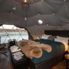 Отель Reykjavik Domes, фото 2