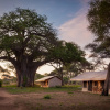Отель Baobab Tented Camp, фото 25