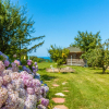 Отель Agva Teras Garden, фото 23